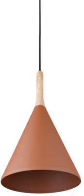 Потолочный светильник Bergenson Bjorn Mango Kart / BB0000450