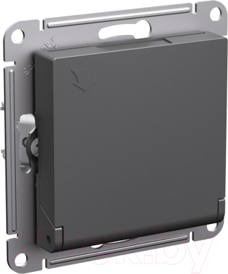 Розетка Schneider Electric AtlasDesign ATN001446 - фото