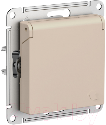 Розетка Schneider Electric AtlasDesign ATN001246 - фото