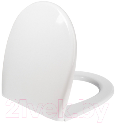 Сиденье для унитаза IDDIS 001 001PP00i31