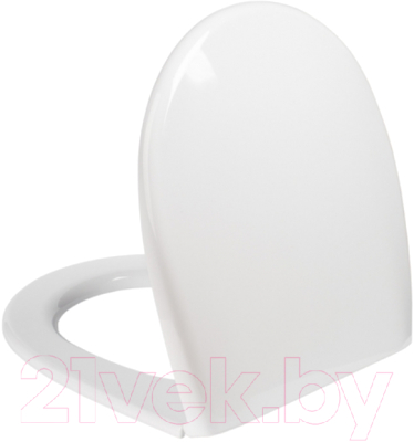 Сиденье для унитаза IDDIS 001 001PP00i31