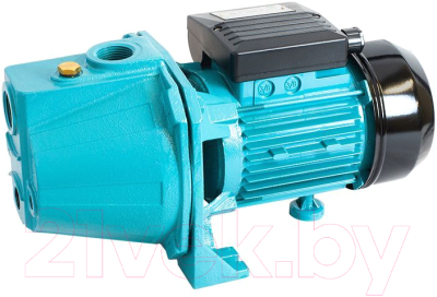 Поверхностный насос GreenPump JET 100 А(а) - фото