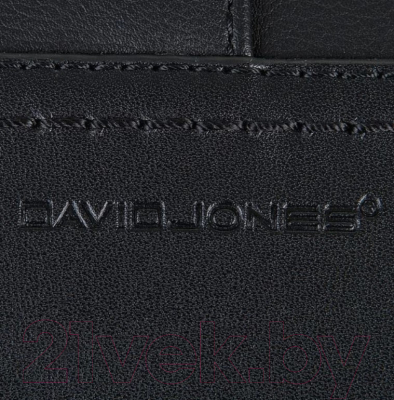 Рюкзак David Jones 823-CM5433-BLK (черный)