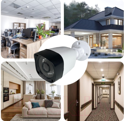 Аналоговая камера Arsenal AR-T220