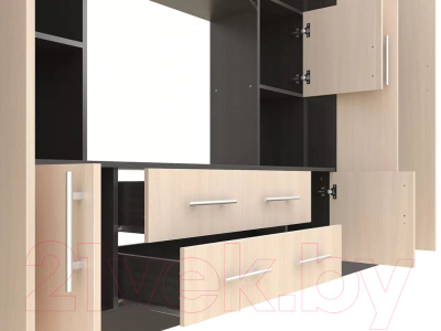 Стенка Stolline Октавия / СТЛ.285.01 (венге/дуб кремона)