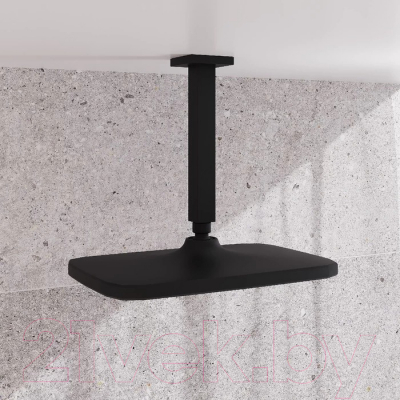 Лейка верхнего душа IDDIS Esper ESP25BSi64