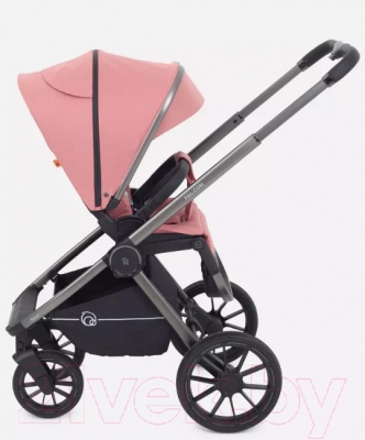 Детская универсальная коляска Rant Falcon 2 в 1 / RA097