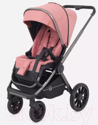 Детская универсальная коляска Rant Falcon 2 в 1 / RA097