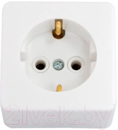 Розетка Bylectrica РА16-209 - фото
