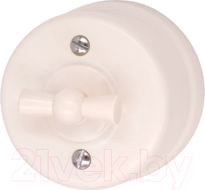 Выключатель Bironi B1-202-24 - фото