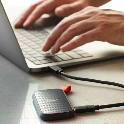 Внешний жесткий диск SanDisk 1TB (SDSSDE30-1T00-G26)