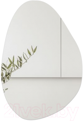 Зеркало Emze 55x80 / NF.55.80 - фото