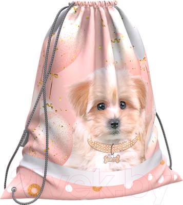 Мешок для обуви Erich Krause Maltipu / 60270 - фото