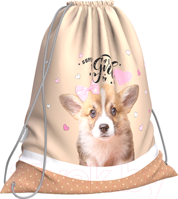 Мешок для обуви Erich Krause Corgi Puppy / 60155 - фото