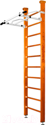 Шведская стенка Kampfer Swedish Ceiling - фото