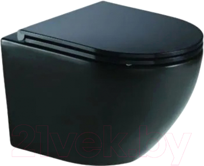 Унитаз подвесной WeltWasser Merzbach 043 MT-BL - фото