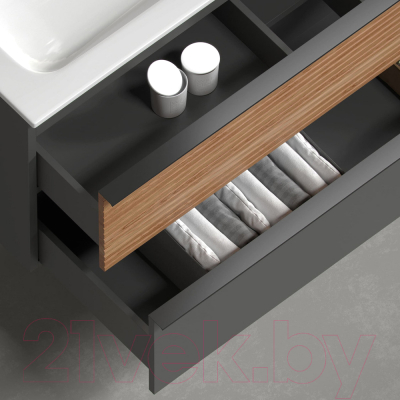 Тумба под умывальник Sancos Delta DL100RGR