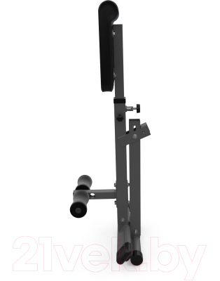 Гиперэкстензия DFC Homegym SJ1006G