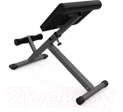 Гиперэкстензия DFC Homegym SJ1006G