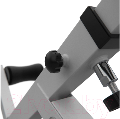 Гиперэкстензия DFC Homegym SJ1006W