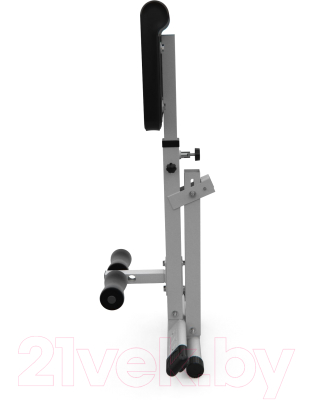 Гиперэкстензия DFC Homegym SJ1006W