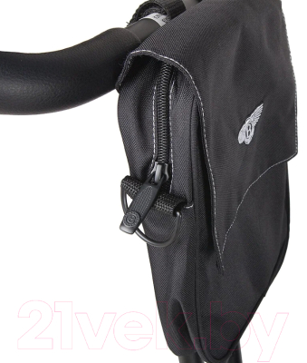 Трехколесный велосипед с ручкой BENTLEY BN2O