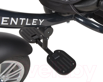 Трехколесный велосипед с ручкой BENTLEY BN2O