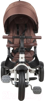 Трехколесный велосипед с ручкой BENTLEY BN2BR