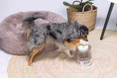 Игрушка для собак Beeztees Delicious головоломка / 619047