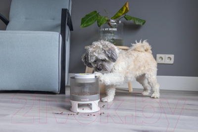 Игрушка для собак Beeztees Delicious головоломка / 619047