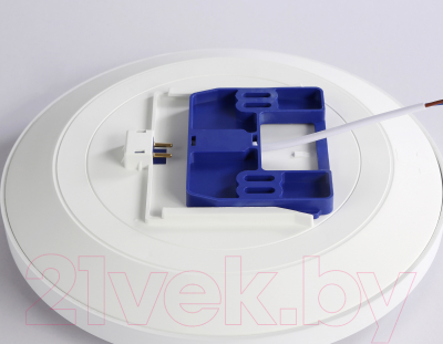 Потолочный светильник Ambrella FZ1220