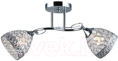 Потолочный светильник Mirastyle SX-N-5473/2 CH - фото