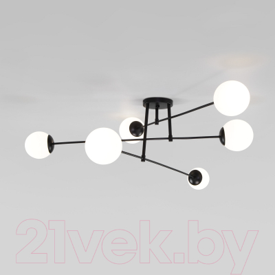Потолочный светильник Евросвет 30181/6 (черный)