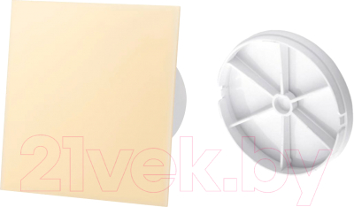 Вентилятор накладной AirRoxy dRim 100DTS-C165 с обратным клапаном d-100 - фото