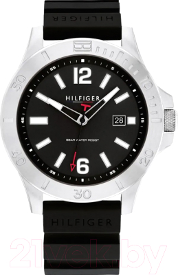 Часы наручные мужские Tommy Hilfiger 1710539 - фото