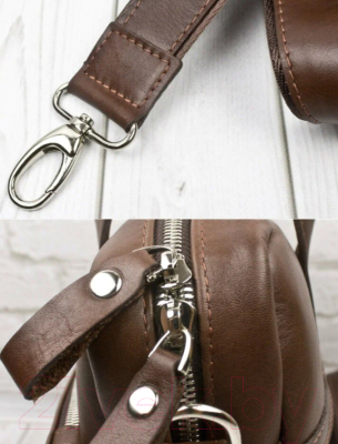 Сумка для ноутбука Carlo Gattini Premium Ardara / 1032-53