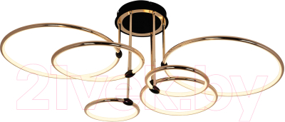 Потолочный светильник LED4U L3301-6 GD-BK - фото