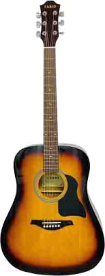 Акустическая гитара Fabio FW220 SB - фото