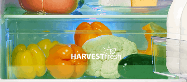 Холодильник с морозильником Beko RCNK310E20VS