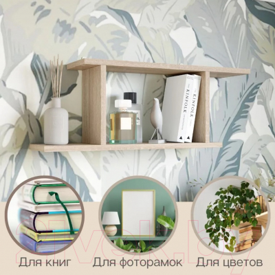 Полка Горизонт Мебель Асти 2 / 12АПН2С