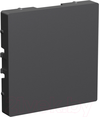 Декоративная заглушка для розетки Systeme (Schneider) Electric AtlasDesign ATN001409 - фото