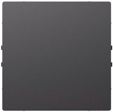 Декоративная заглушка для розетки Systeme (Schneider) Electric AtlasDesign ATN001409