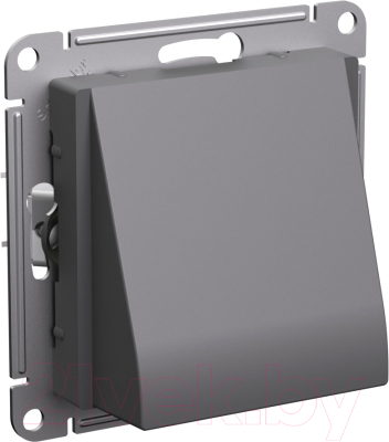 Вывод кабеля Systeme (Schneider) Electric AtlasDesign ATN001499 - фото