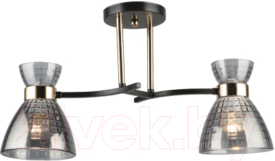 Потолочный светильник Mirastyle SX-N-5686/2 COFFEE+FGD - фото