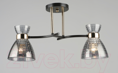 Потолочный светильник Mirastyle SX-N-5686/2 COFFEE+FGD