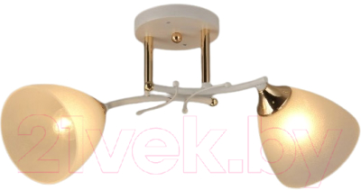 Потолочный светильник Mirastyle SX-N-0413/2 - фото