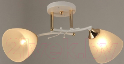 Потолочный светильник Mirastyle SX-N-0413/2