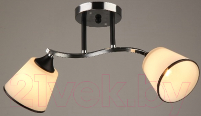 Потолочный светильник Mirastyle SX-N-0600/2 CH+BK
