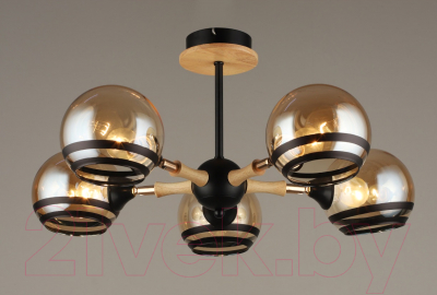 Потолочный светильник Mirastyle SX-N-4896/5 BK+FG