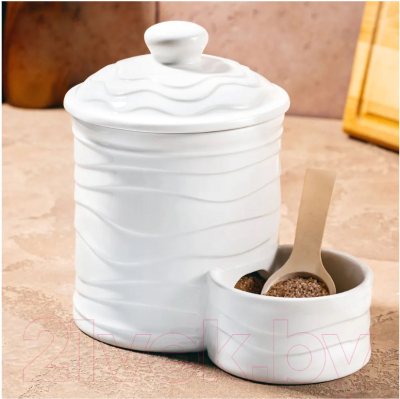 Емкость для хранения Elan Gallery Айсберг волны / 540772